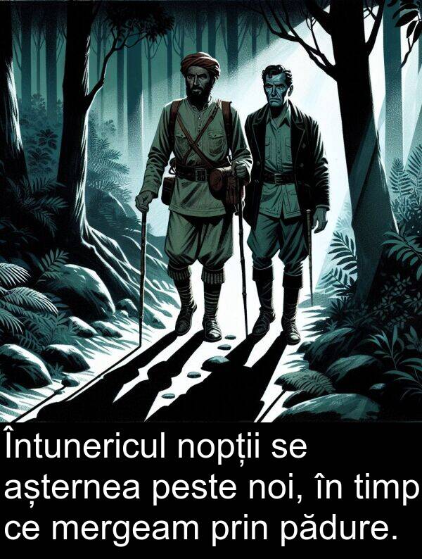 pădure: Întunericul nopții se așternea peste noi, în timp ce mergeam prin pădure.