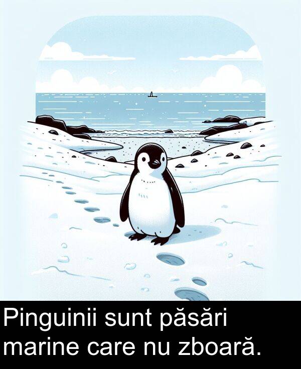 zboară: Pinguinii sunt păsări marine care nu zboară.