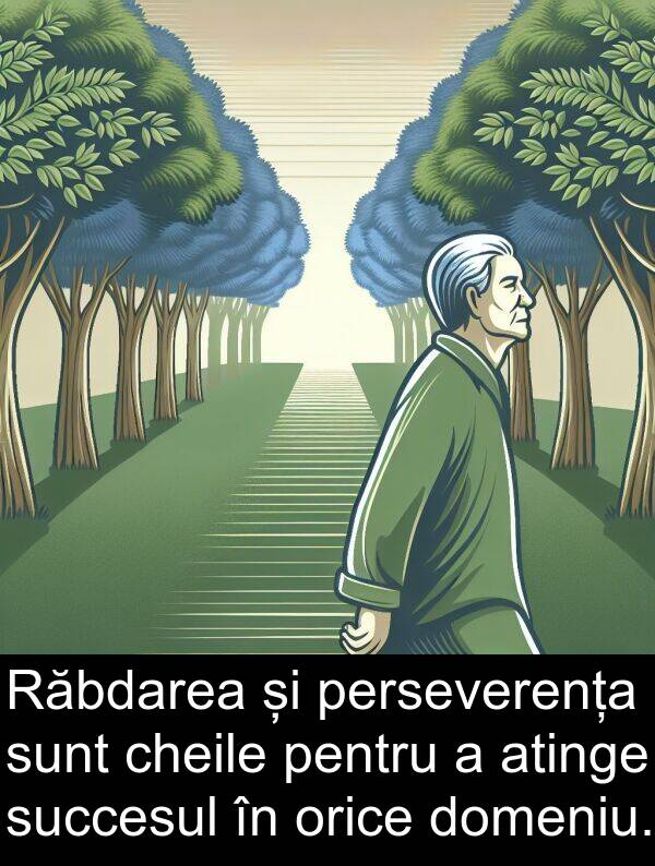 succesul: Răbdarea și perseverența sunt cheile pentru a atinge succesul în orice domeniu.
