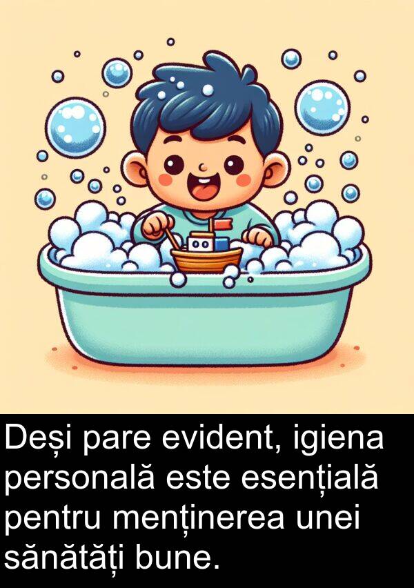 igiena: Deși pare evident, igiena personală este esențială pentru menținerea unei sănătăți bune.