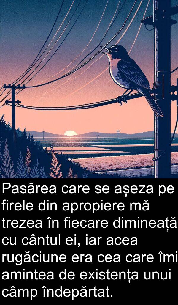 trezea: Pasărea care se așeza pe firele din apropiere mă trezea în fiecare dimineață cu cântul ei, iar acea rugăciune era cea care îmi amintea de existența unui câmp îndepărtat.