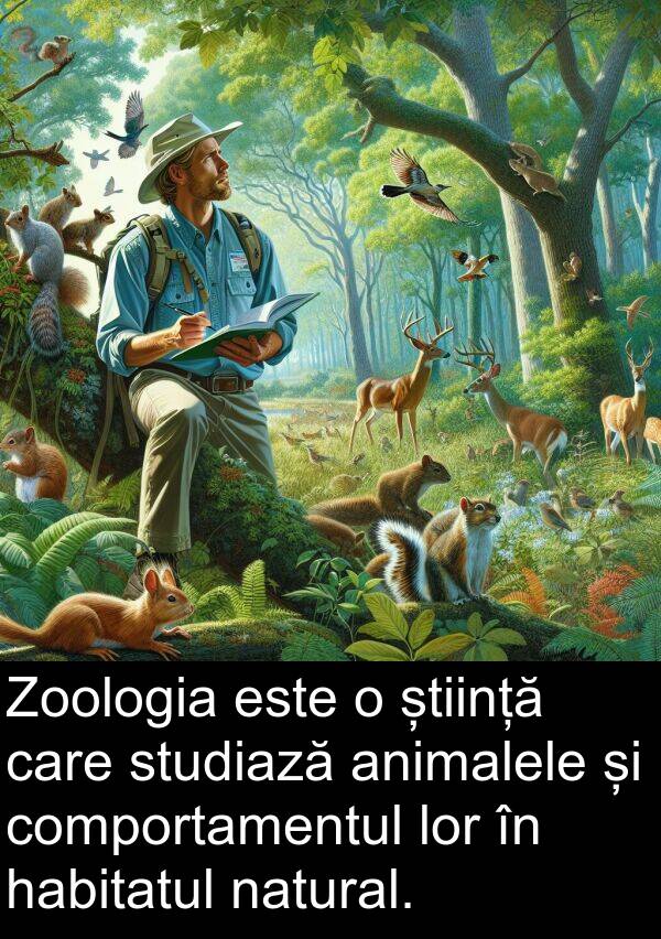 habitatul: Zoologia este o știință care studiază animalele și comportamentul lor în habitatul natural.