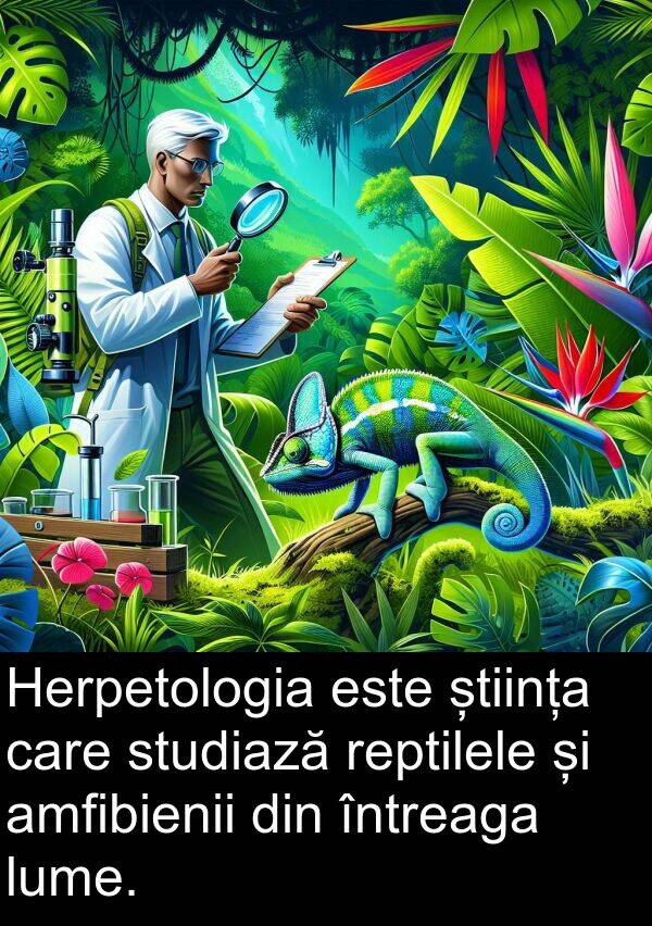 știința: Herpetologia este știința care studiază reptilele și amfibienii din întreaga lume.