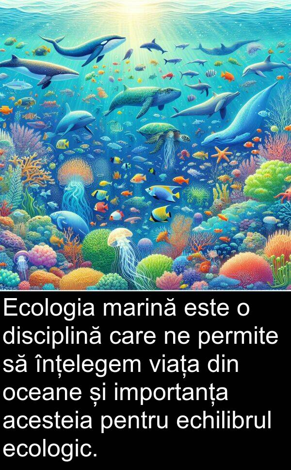 echilibrul: Ecologia marină este o disciplină care ne permite să înțelegem viața din oceane și importanța acesteia pentru echilibrul ecologic.