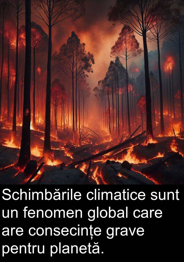 consecințe: Schimbările climatice sunt un fenomen global care are consecințe grave pentru planetă.