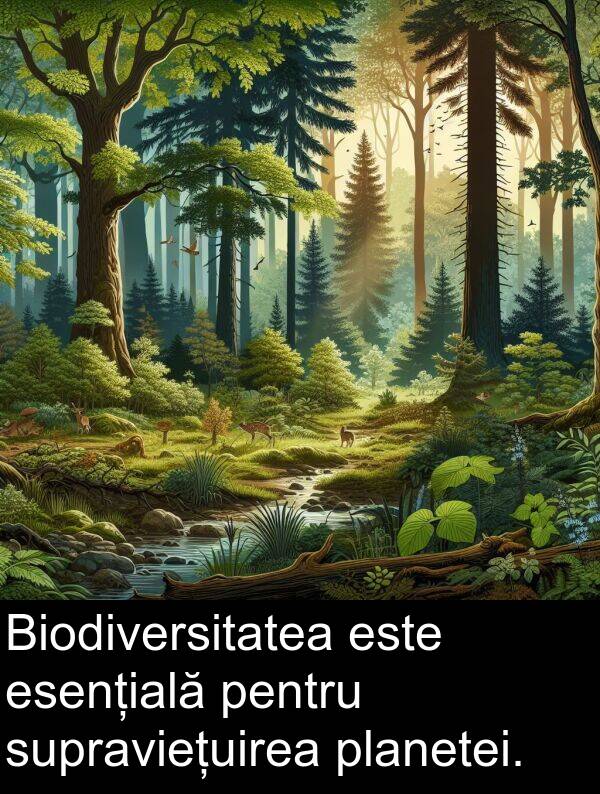 supraviețuirea: Biodiversitatea este esențială pentru supraviețuirea planetei.