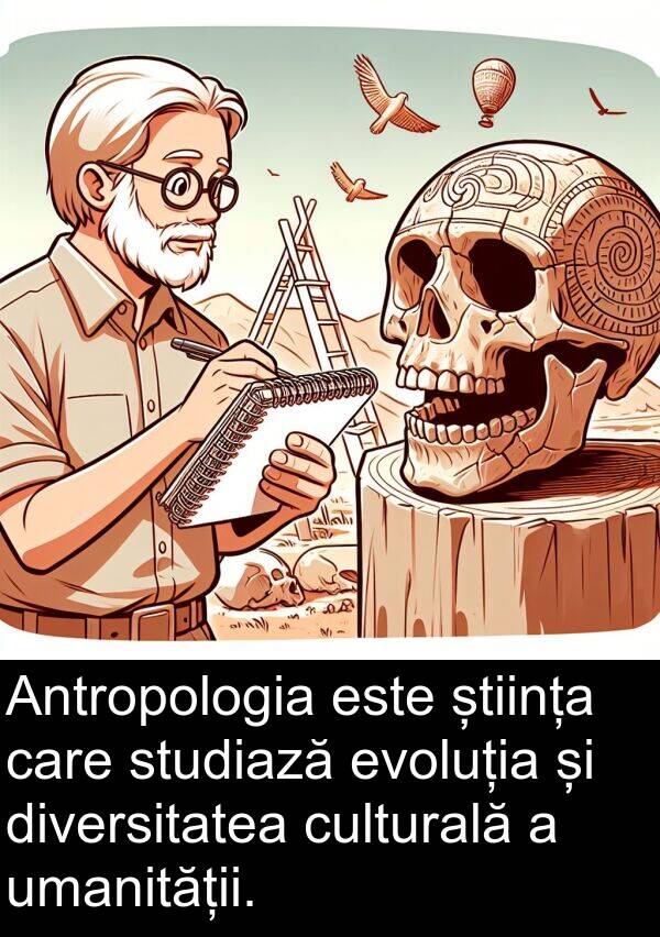 știința: Antropologia este știința care studiază evoluția și diversitatea culturală a umanității.