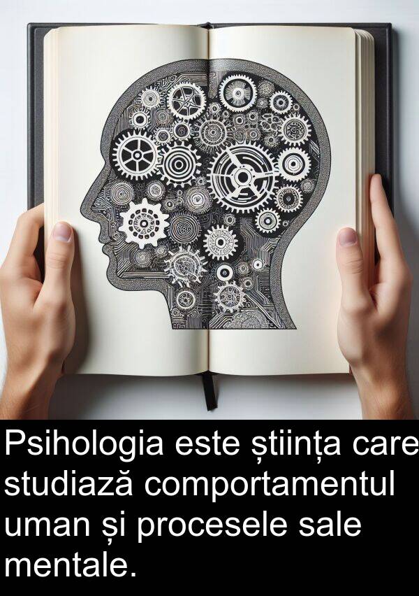 știința: Psihologia este știința care studiază comportamentul uman și procesele sale mentale.