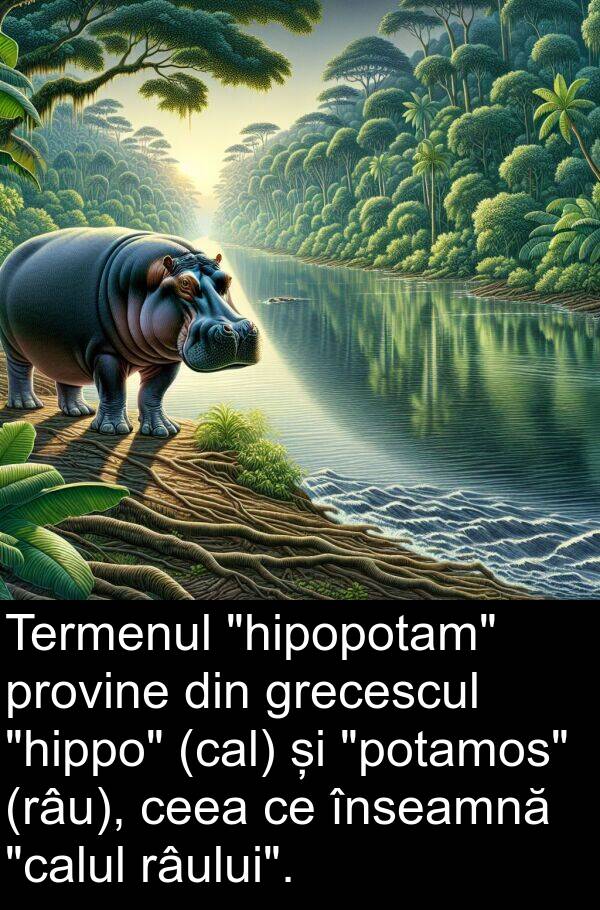 provine: Termenul "hipopotam" provine din grecescul "hippo" (cal) și "potamos" (râu), ceea ce înseamnă "calul râului".