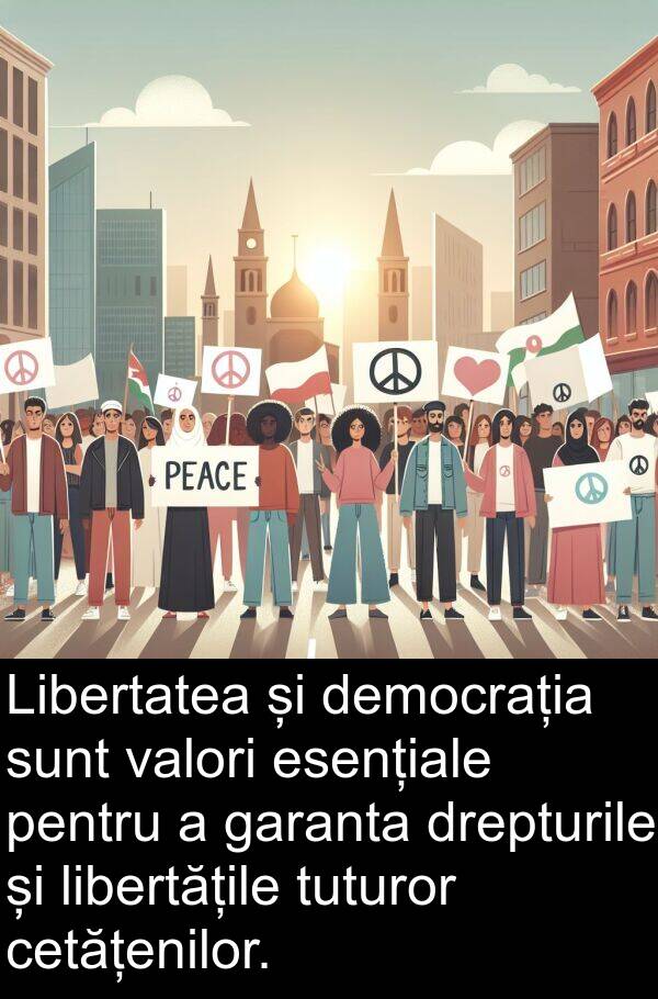 valori: Libertatea și democrația sunt valori esențiale pentru a garanta drepturile și libertățile tuturor cetățenilor.