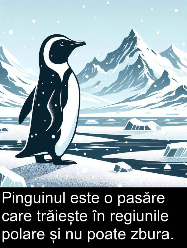 zbura: Pinguinul este o pasăre care trăiește în regiunile polare și nu poate zbura.