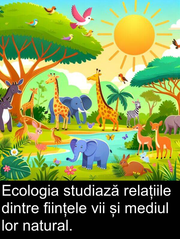 natural: Ecologia studiază relațiile dintre ființele vii și mediul lor natural.