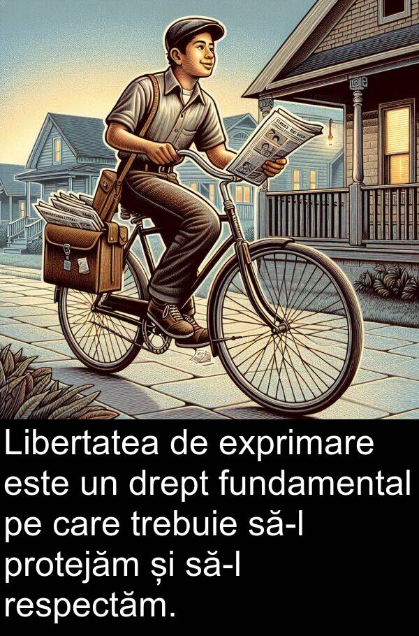 drept: Libertatea de exprimare este un drept fundamental pe care trebuie să-l protejăm și să-l respectăm.