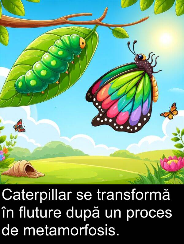 după: Caterpillar se transformă în fluture după un proces de metamorfosis.