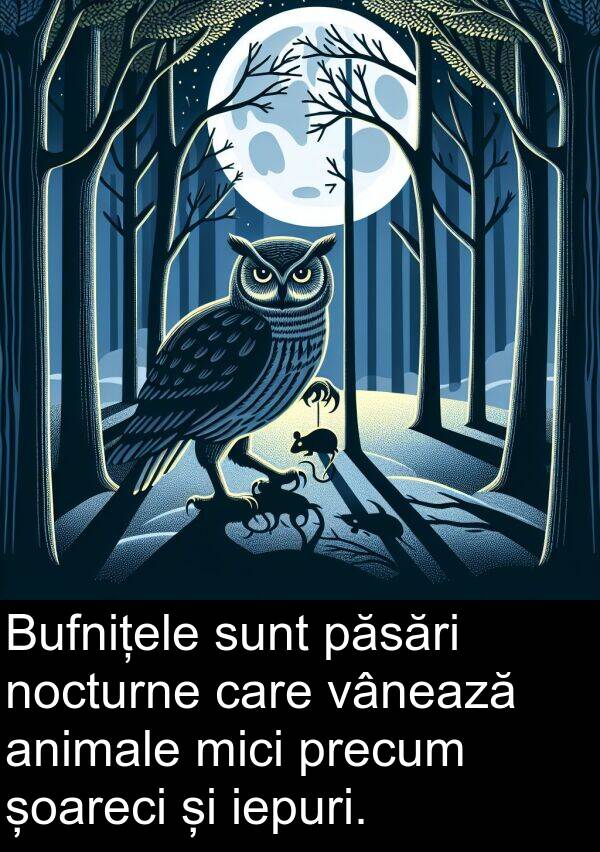 iepuri: Bufnițele sunt păsări nocturne care vânează animale mici precum șoareci și iepuri.