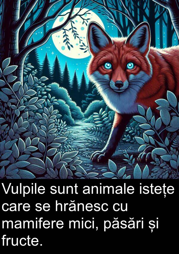 hrănesc: Vulpile sunt animale istețe care se hrănesc cu mamifere mici, păsări și fructe.