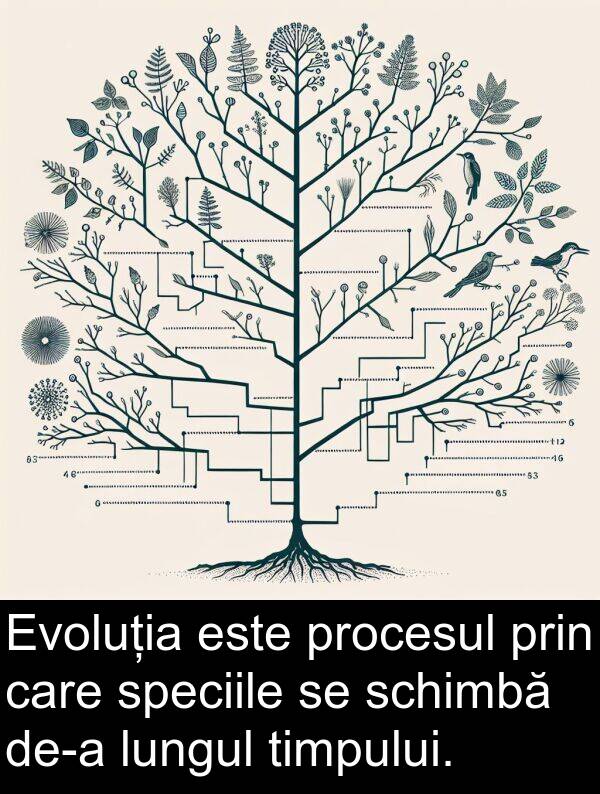 speciile: Evoluția este procesul prin care speciile se schimbă de-a lungul timpului.