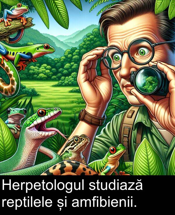 studiază: Herpetologul studiază reptilele și amfibienii.