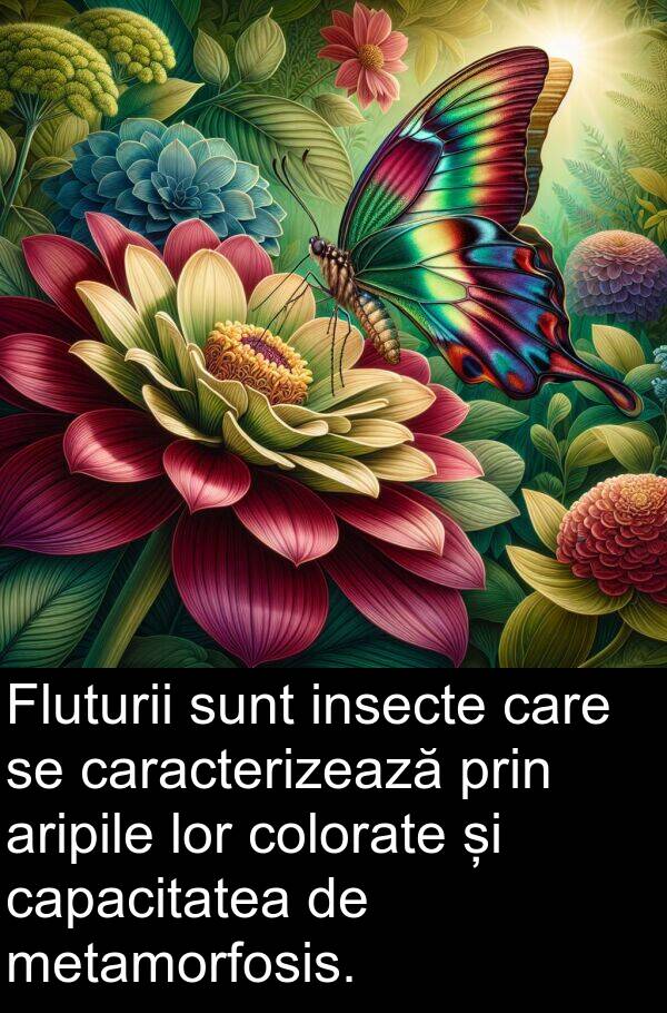 insecte: Fluturii sunt insecte care se caracterizează prin aripile lor colorate și capacitatea de metamorfosis.