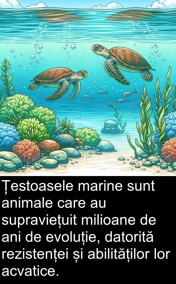 datorită: Țestoasele marine sunt animale care au supraviețuit milioane de ani de evoluție, datorită rezistenței și abilităților lor acvatice.