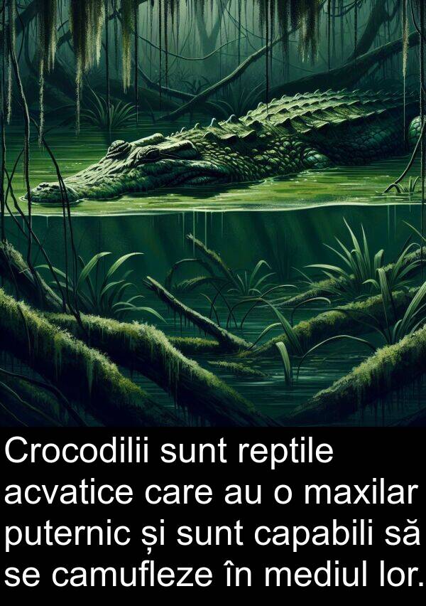 puternic: Crocodilii sunt reptile acvatice care au o maxilar puternic și sunt capabili să se camufleze în mediul lor.