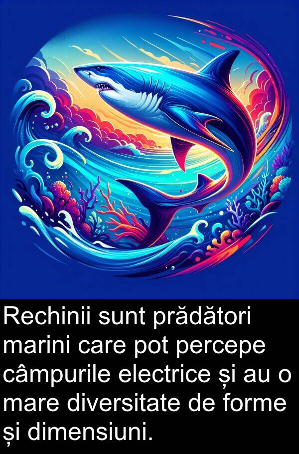 electrice: Rechinii sunt prădători marini care pot percepe câmpurile electrice și au o mare diversitate de forme și dimensiuni.