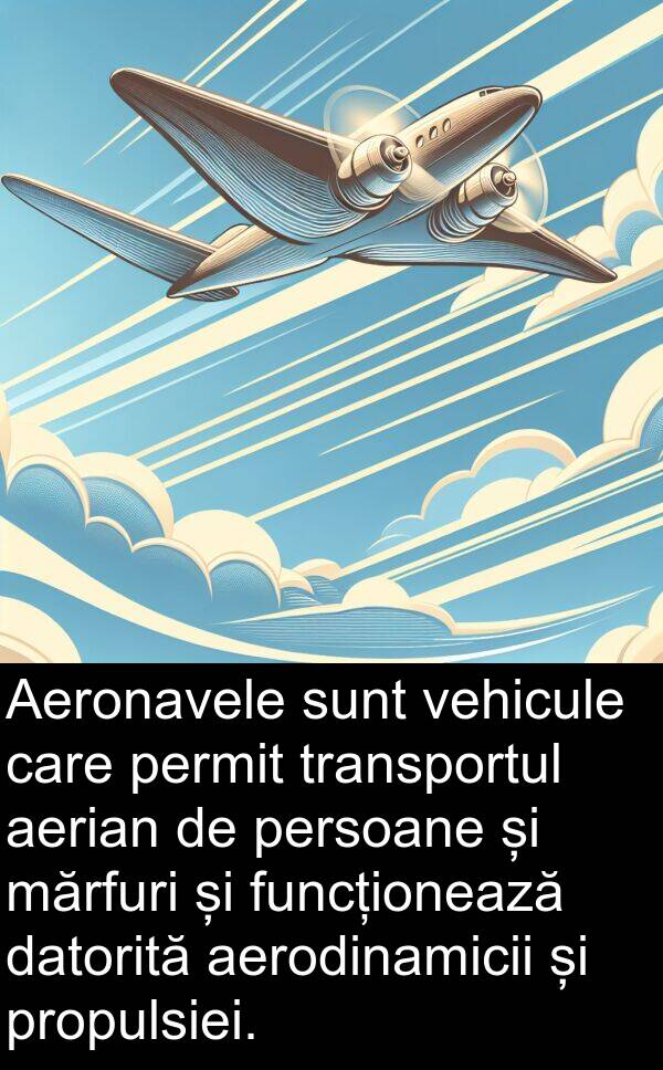 datorită: Aeronavele sunt vehicule care permit transportul aerian de persoane și mărfuri și funcționează datorită aerodinamicii și propulsiei.