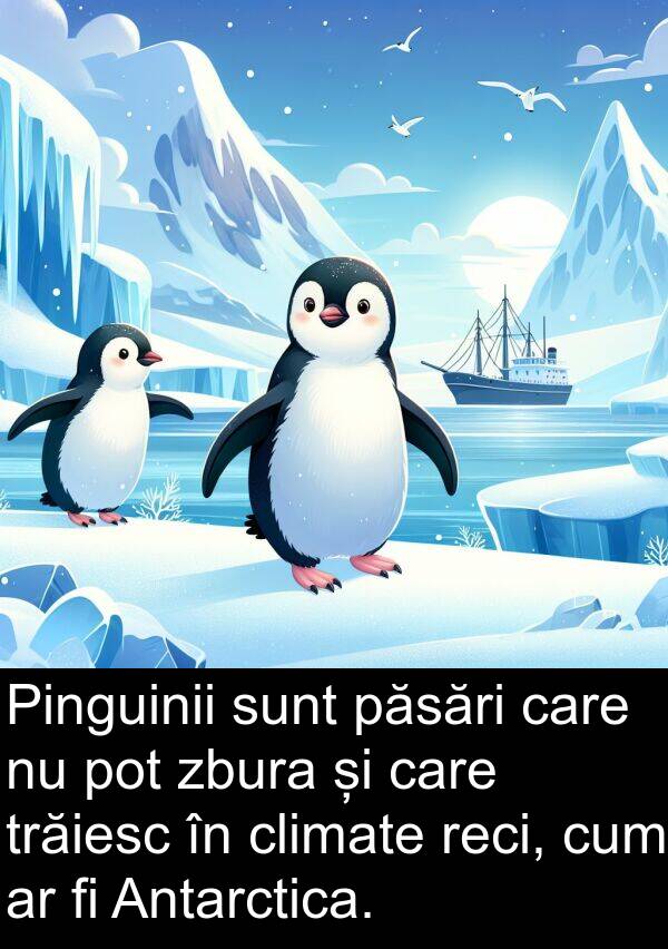 zbura: Pinguinii sunt păsări care nu pot zbura și care trăiesc în climate reci, cum ar fi Antarctica.