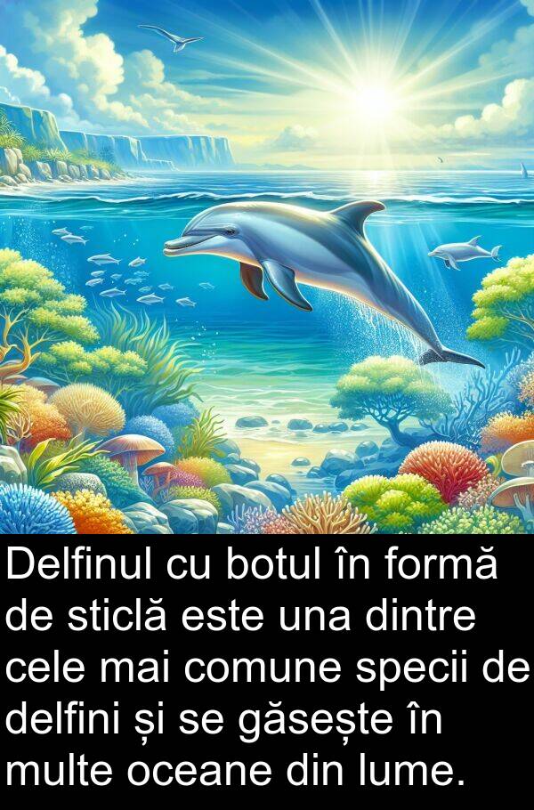 una: Delfinul cu botul în formă de sticlă este una dintre cele mai comune specii de delfini și se găsește în multe oceane din lume.