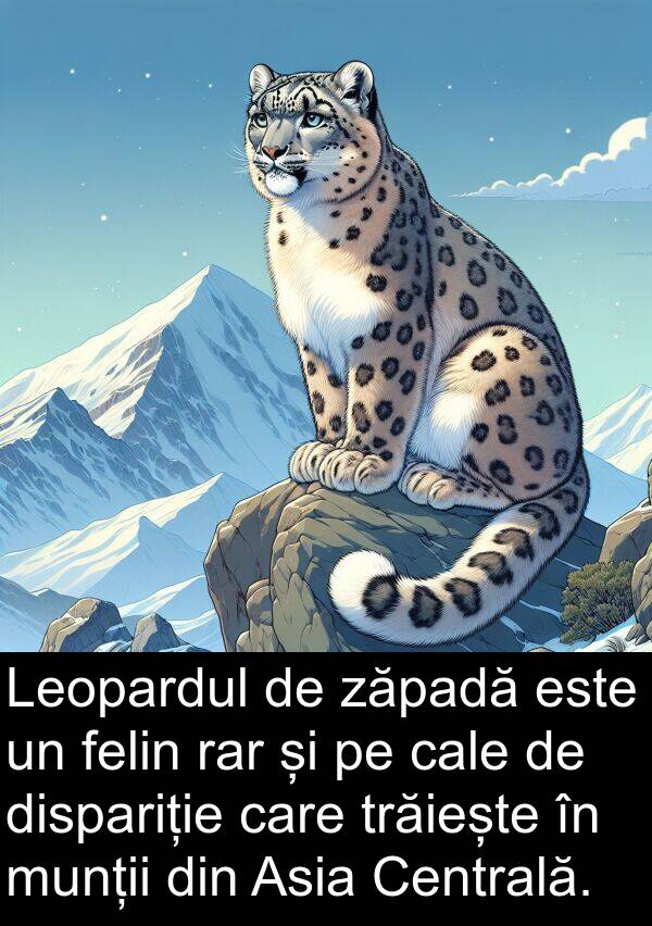 cale: Leopardul de zăpadă este un felin rar și pe cale de dispariție care trăiește în munții din Asia Centrală.