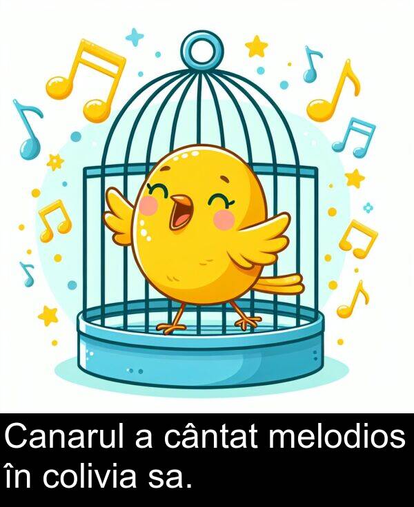 sa: Canarul a cântat melodios în colivia sa.