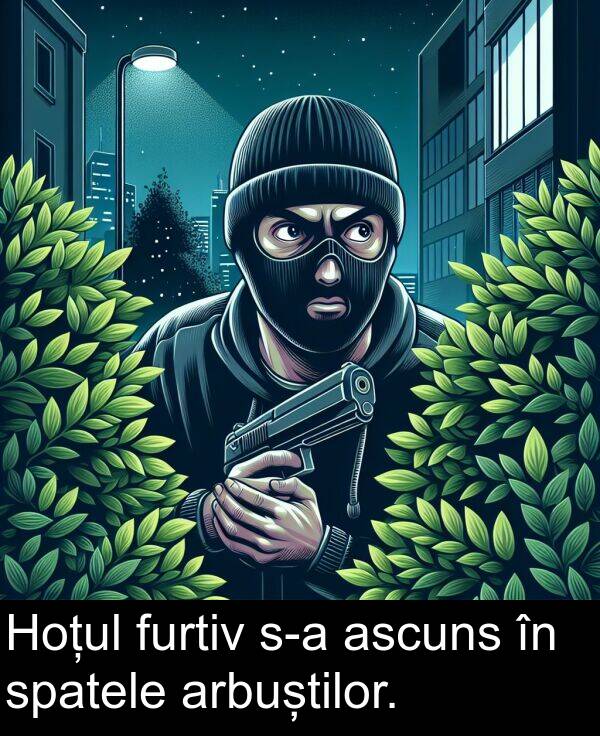 spatele: Hoțul furtiv s-a ascuns în spatele arbuștilor.