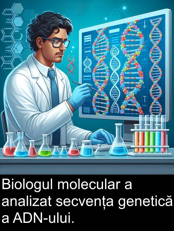 secvența: Biologul molecular a analizat secvența genetică a ADN-ului.