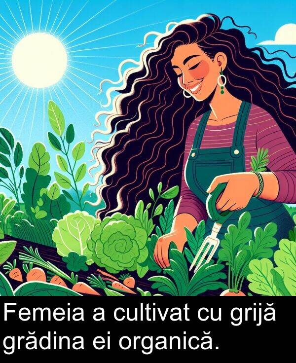 organică: Femeia a cultivat cu grijă grădina ei organică.