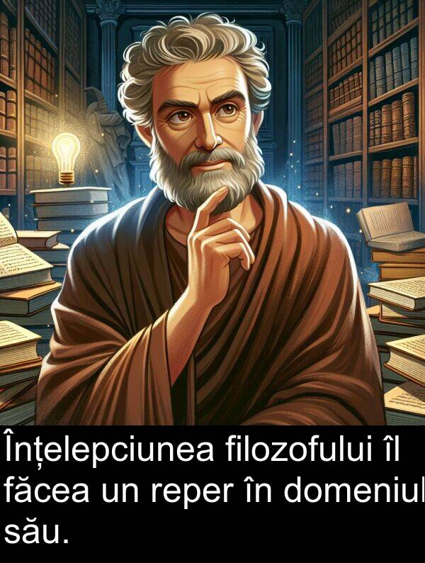 făcea: Înțelepciunea filozofului îl făcea un reper în domeniul său.