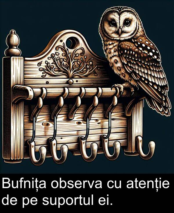 observa: Bufnița observa cu atenție de pe suportul ei.