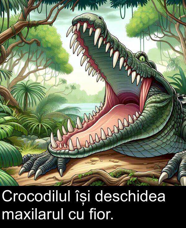 deschidea: Crocodilul își deschidea maxilarul cu fior.