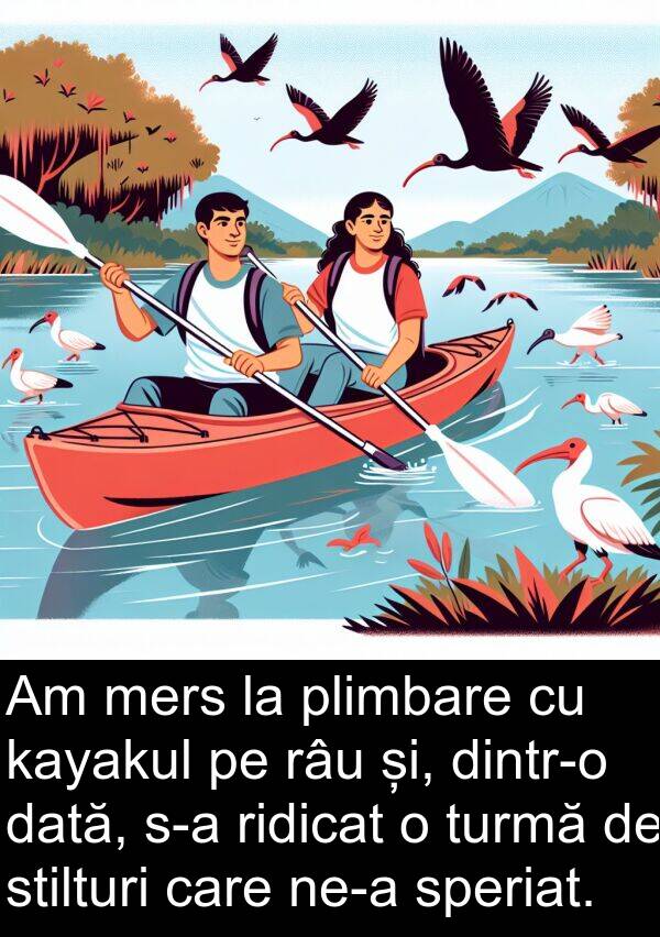dată: Am mers la plimbare cu kayakul pe râu și, dintr-o dată, s-a ridicat o turmă de stilturi care ne-a speriat.