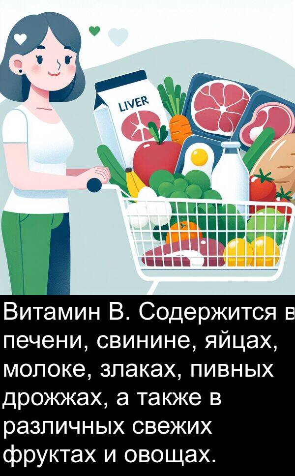 свежих: Витамин B. Содержится в печени, свинине, яйцах, молоке, злаках, пивных дрожжах, а также в различных свежих фруктах и овощах.