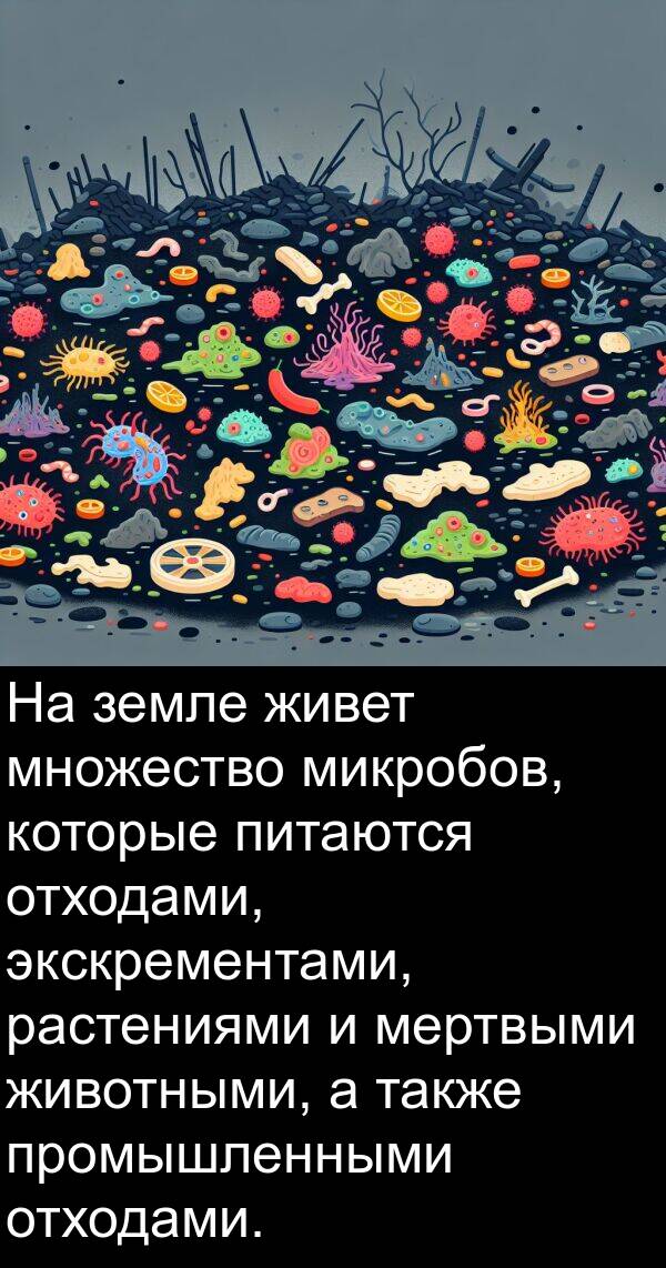 экскрементами: На земле живет множество микробов, которые питаются отходами, экскрементами, растениями и мертвыми животными, а также промышленными отходами.