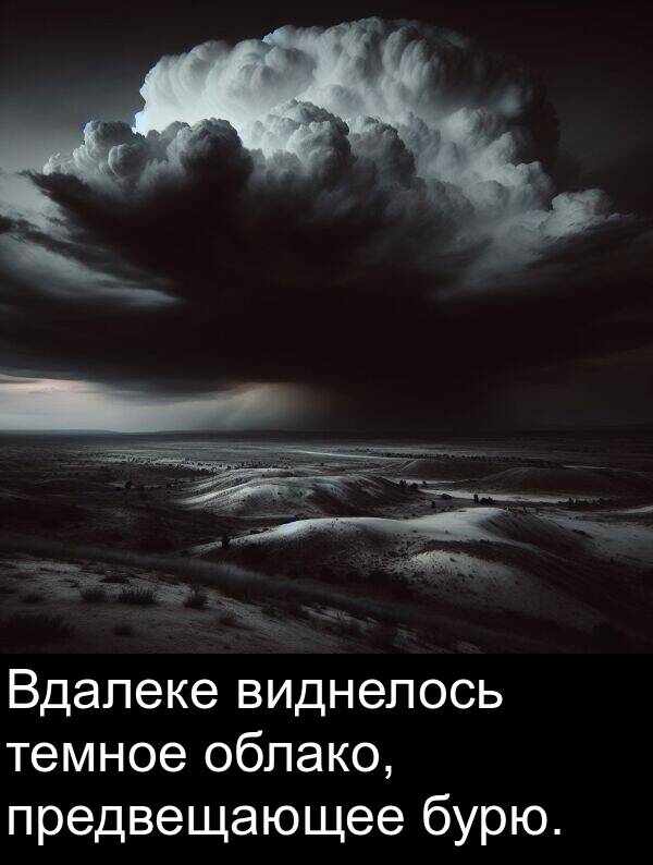 темное: Вдалеке виднелось темное облако, предвещающее бурю.