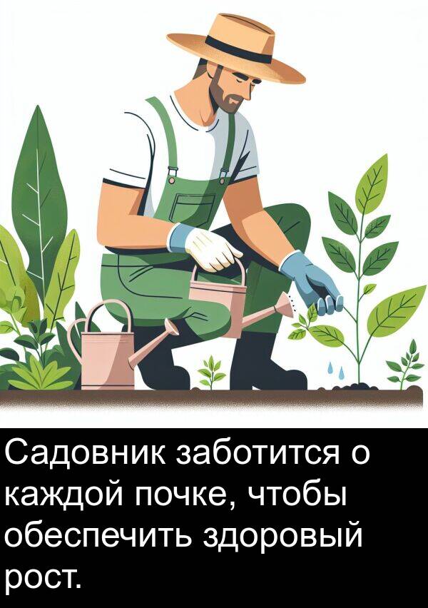 заботится: Садовник заботится о каждой почке, чтобы обеспечить здоровый рост.