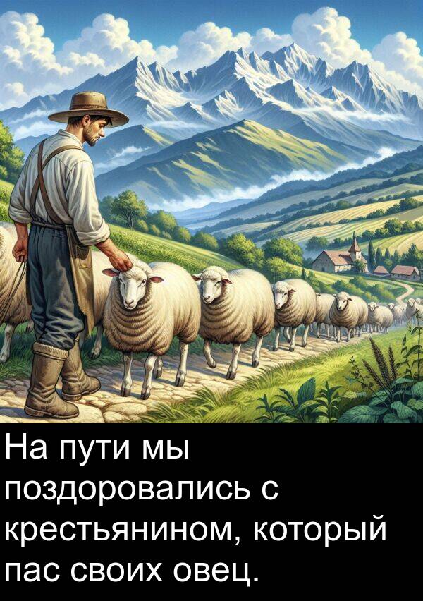 своих: На пути мы поздоровались с крестьянином, который пас своих овец.