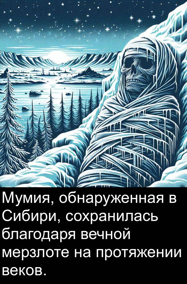 благодаря: Мумия, обнаруженная в Сибири, сохранилась благодаря вечной мерзлоте на протяжении веков.