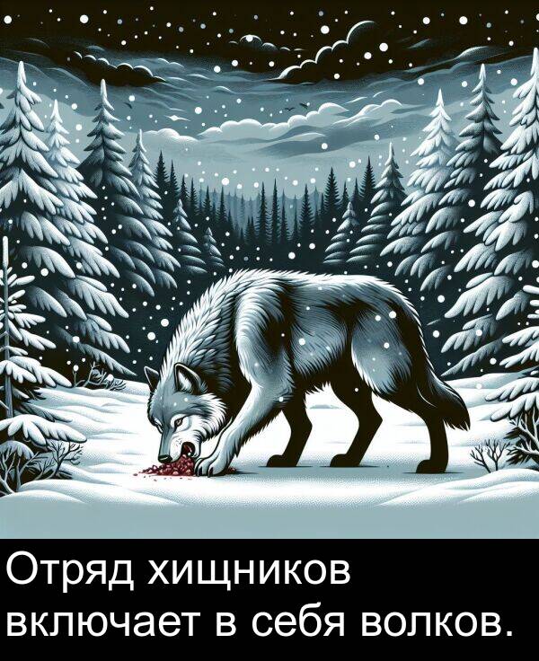 хищников: Отряд хищников включает в себя волков.