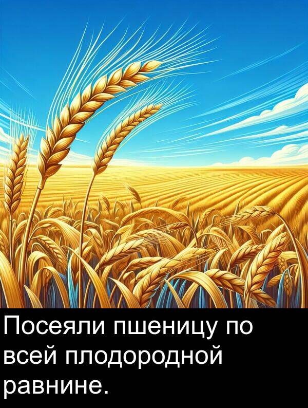 всей: Посеяли пшеницу по всей плодородной равнине.