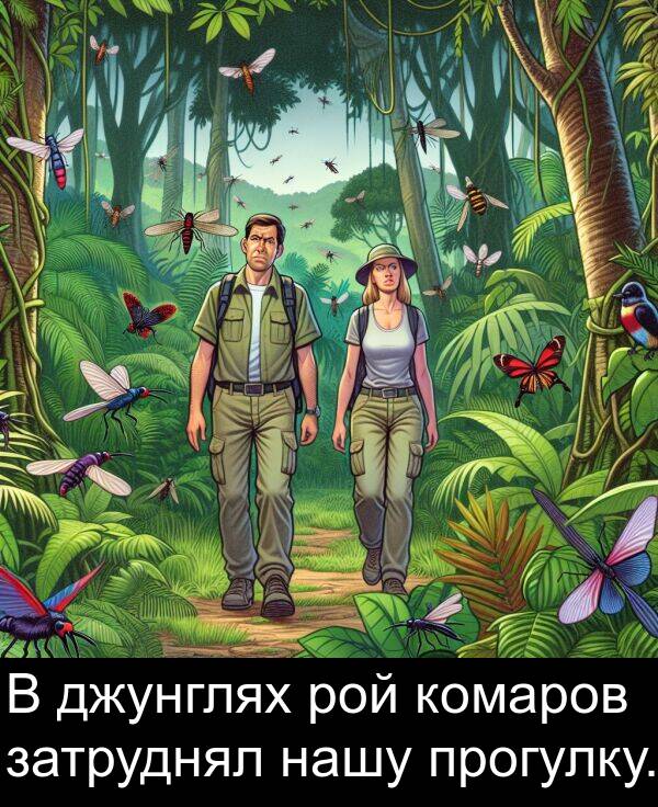 комаров: В джунглях рой комаров затруднял нашу прогулку.