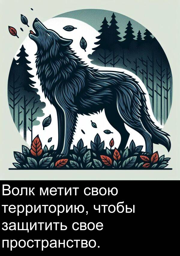 защитить: Волк метит свою территорию, чтобы защитить свое пространство.