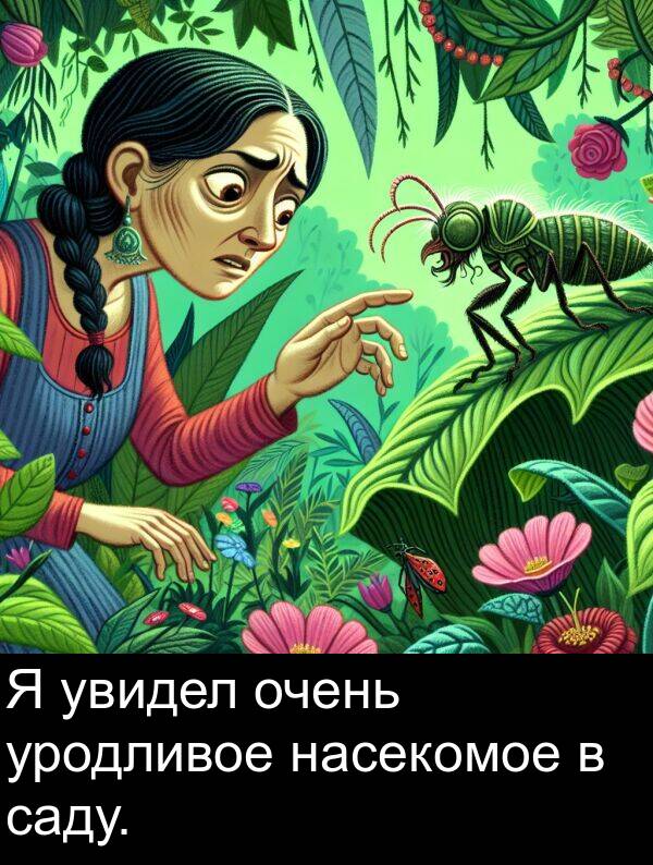 увидел: Я увидел очень уродливое насекомое в саду.