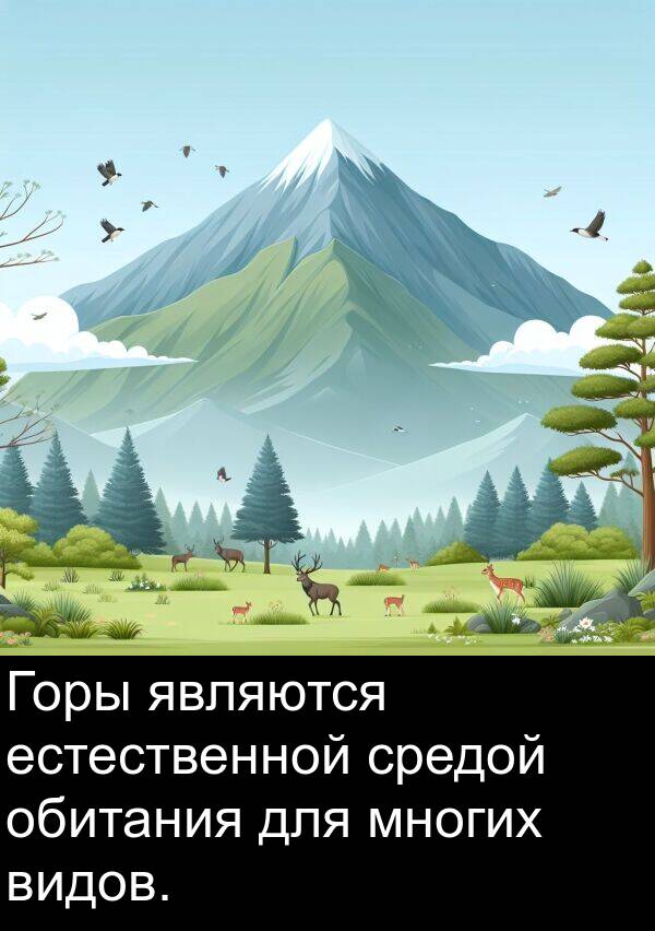 являются: Горы являются естественной средой обитания для многих видов.